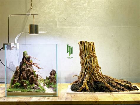 Pin by 성혁 최 on 테라리움 in 2024 Aquascape Aquarium landscape Aquascape