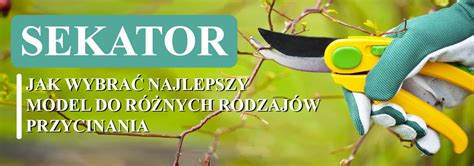 Sekator ogrodowy jak wybrać najlepszy model do różnych rodzajów