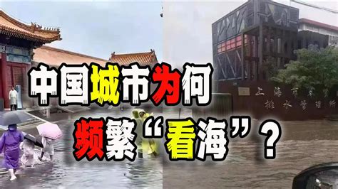 为什么一下雨中国上海杭州等城市就频繁被淹内中原因可并不仅仅是腐败问题2023 07 23第1672期 YouTube