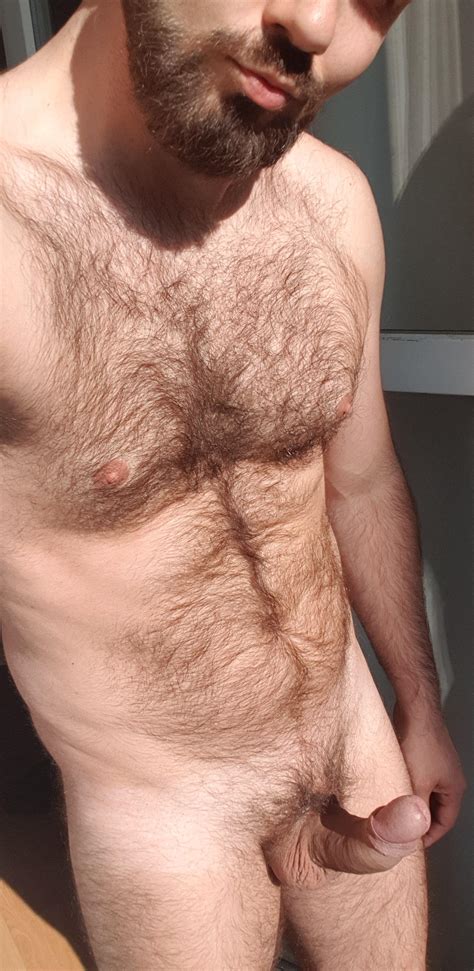 Sunny Furry Horny R Insanelyhairymen