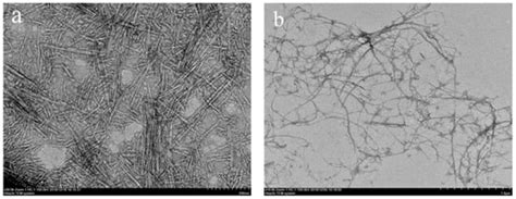 Polymers Free Full Text Effects Of Cellulose Nanocrystals And Cellulose Nanofibers On The