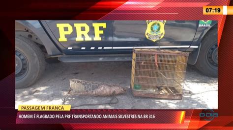 Homem Ã preso suspeito de caçar animais silvestres em Passagem Franca