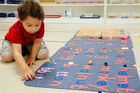 The Montessori Curriculum Montessori Academy Of Carrollwood