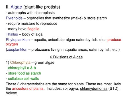 PPT Protists Learning Target Objectives I Can PowerPoint