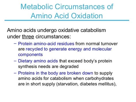 Biochemistry Amino Acid Oxidation