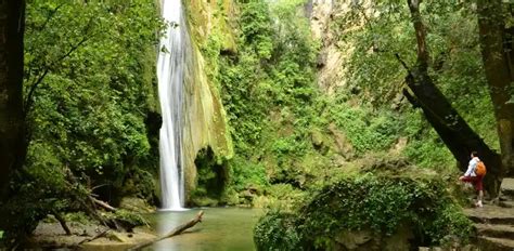 Reserva de Sierra Gorda la cuna de la biodiversidad en Querétaro