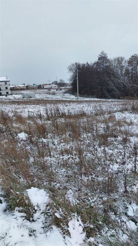 Działka Kowalewo Pomorskie ul 1 Maja bez pośrednika 1152 m2 115