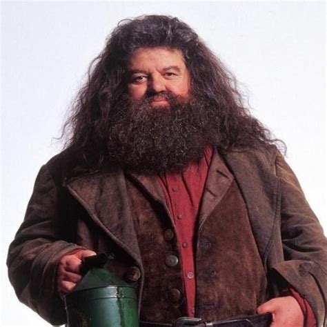 Rubeus Hagrid ~ Detailed Information Photos Videos