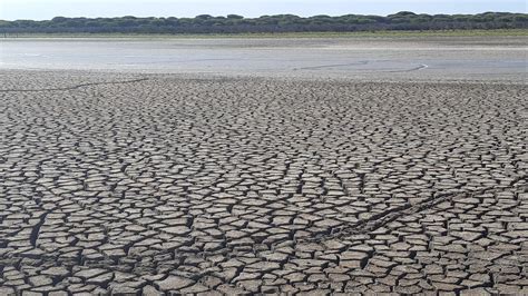 El último SOS de Doñana al borde del desastre ecológico según WWF