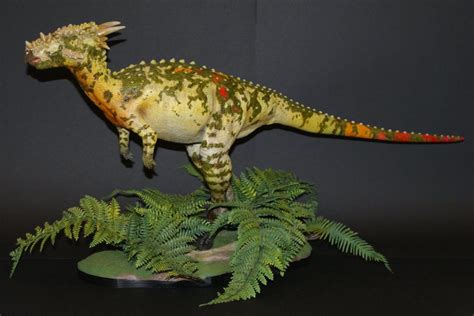 Dracorex Datos Y Curiosidades Dinosaurios