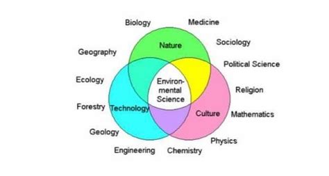 [Solved] Based on the diagram below, how will you define Environmental ...