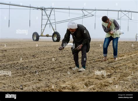Central Pivot Irrigation In Egypt Hi Res Stock Photography And Images