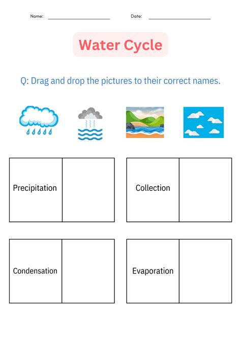 Printable Diagram Science Water Cycle Worksheet And Activities For