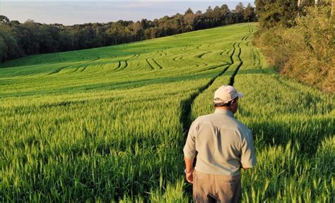 DIA DO TRABALHADOR A IMPORTÂNCIA DOS PRODUTORES RURAIS Cooperante