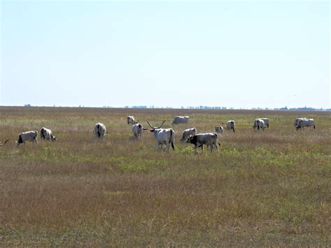 Hortob Gyi Nemzeti Park A Puszta A Csod S Hungarikum