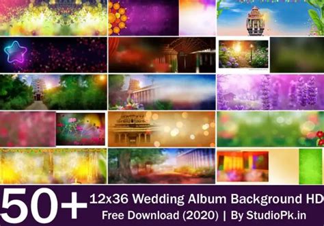 12x36 Wedding Album Background Hd Free Download 2020