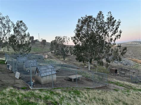 Alpha Canine Sanctuary Home
