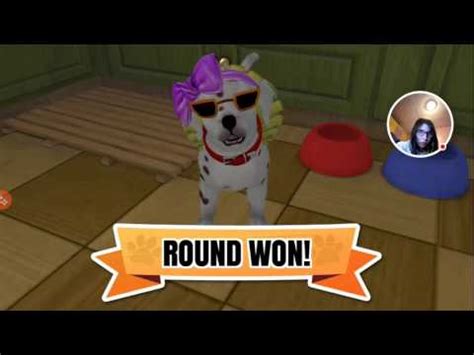 Psvita Pets Puppy Parlour Youtube