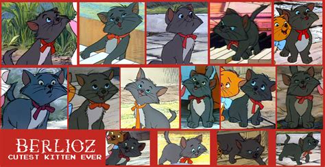 Berlioz From Aristocats Collage By Scampthewolf On Deviantart