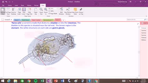 1 Diagram Quizlet