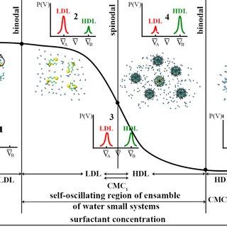 Polyamorphous Transition In The Ensemble Of Small Water Systems And The