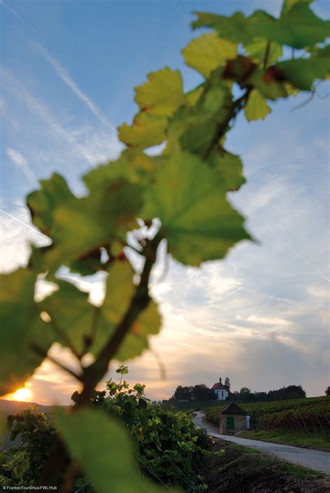 Franken Wein Sch Ner Land