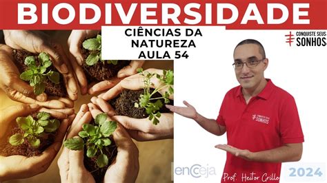 Aula Ci Ncias Da Natureza Biodiversidade Encceja Ensino