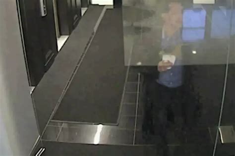 A Video Of People Walking Into Things Yes Please