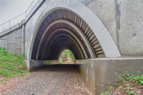 Wood arch bridge - oldreka