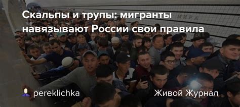 Скальпы и трупы: мигранты навязывают России свои правила - РУССКИЙ ОБЩЕ ...