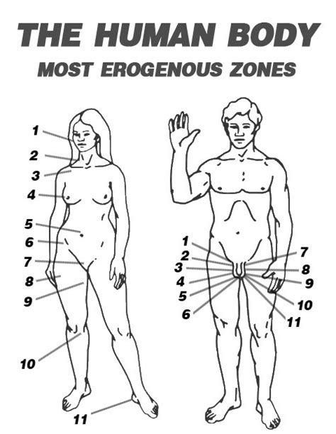 Erogenous Zones Of A Female Telegraph