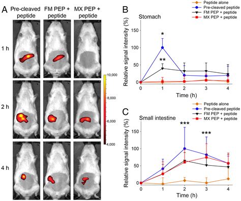 In Vivo Fluorescence Imaging Of Exogenous Enzyme Activity In The