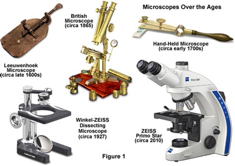 Zeiss Microscopy Online Campus Microscopy Basics Historical Perspective