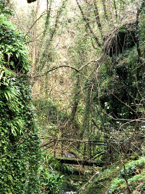 Pict Ponte Sul Rusciello Ossi Ss Sardegna C B Flickr