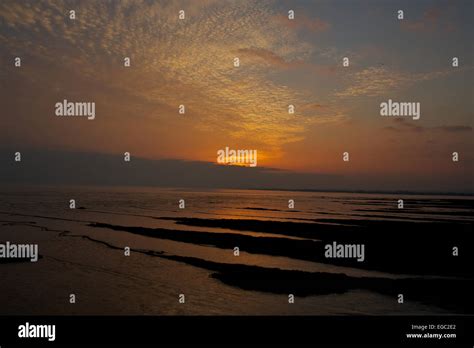 Newport Wetlands RSPB Reserve Gwent Levels Newport Gwent Stock Photo