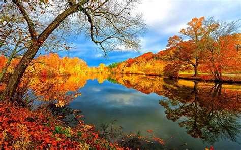 Autumn Reflection Shore Riverbank Falling Autumn Leaves Clouds