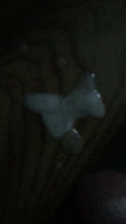 Morning Coming Gay Man Man Porn Feat Bonkers Xhamster