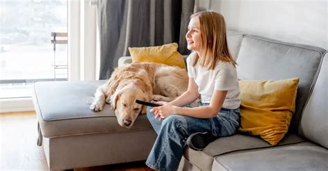 Mejores Películas De Perros Para Niños