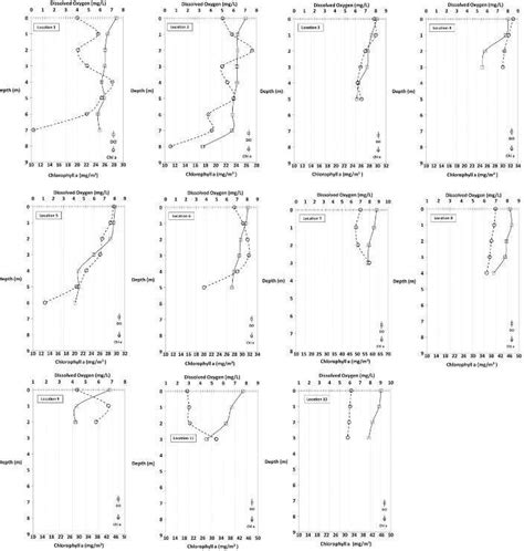 Vertical Profiles Of Dissolved Oxygen And Chlorophyll A December 2019