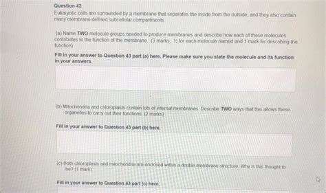 Solved Eukaryotic cells are surrounded by a membrane that | Chegg.com 