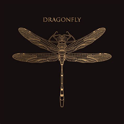 Vector Drawing Golden Dragonfly On A Black Background 13980713 Vector