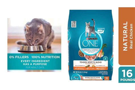 Best Cat Foods Of Reviews Vet Recommended Cat Food By Types Hot Sex Picture