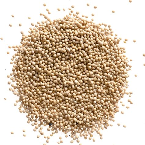 Yellow Mustard Seed Whole Bulk Dried Mustard Seed