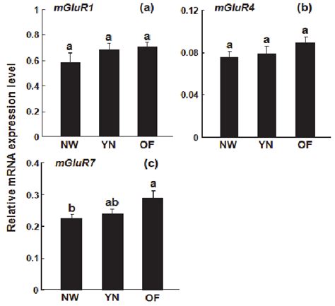 Gene Expression Levels Of MGluR Genes Relative To A Reference Gene