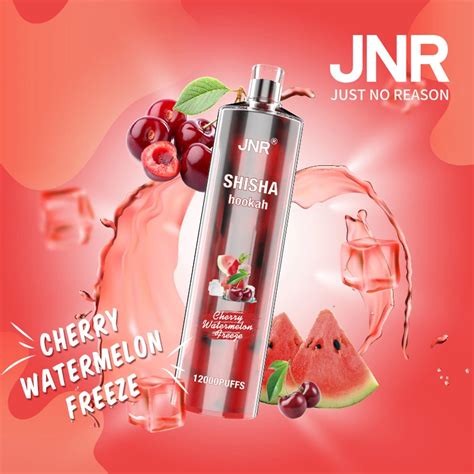 Hot Sale Original Brand Jnr Shisha Hookah 12000 Puffs Disposable Vape