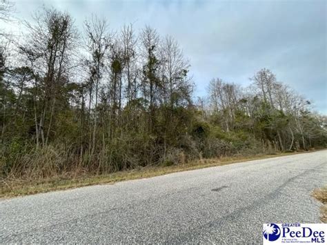Tbd Forest Dr Blenheim Sc 29516 See Est Value Schools And More