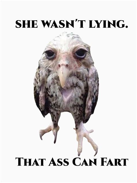 That Ass Can Fart Funny Meme T Shirt For Sale By Etsny Redbubble That Ass Can Fart T