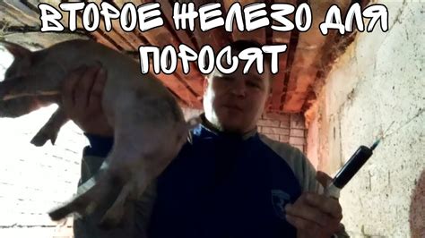 Второе железо для поросят|Накрываем крышу сарая - YouTube