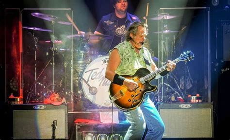 ted nugent net worth  details   massive wealth