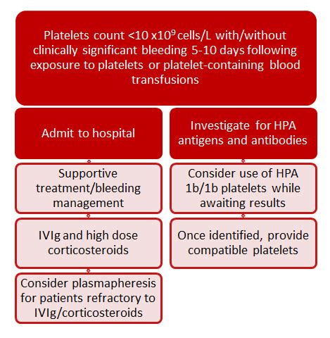 Platelet transfusion, alloimmunization and management of platelet ...